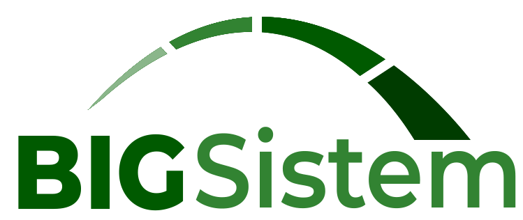 BIGSistem