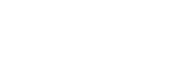 BIGSistem